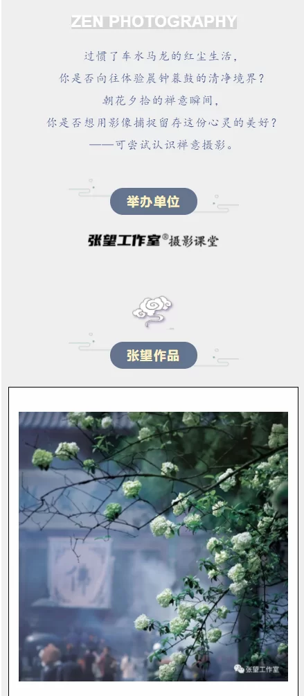 张望：第二期【禅意摄影线上研修班】