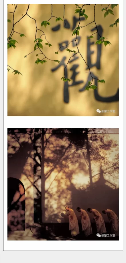 张望：第二期【禅意摄影线上研修班】