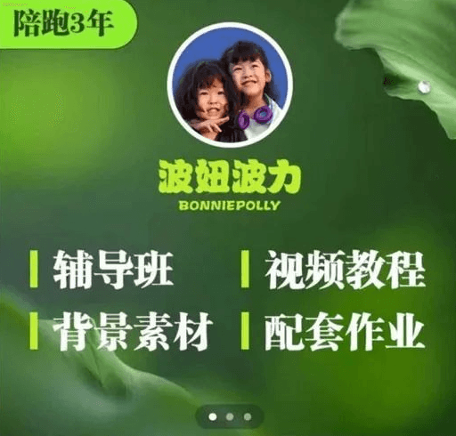 波妞波力的视频通用教程+视频ac素材+辅导班