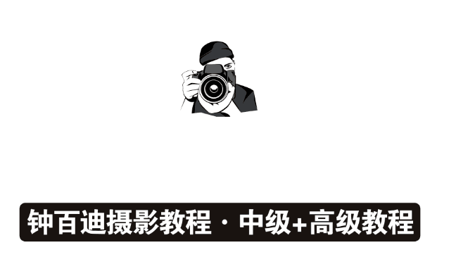钟百迪：循序渐进学摄影(高级)