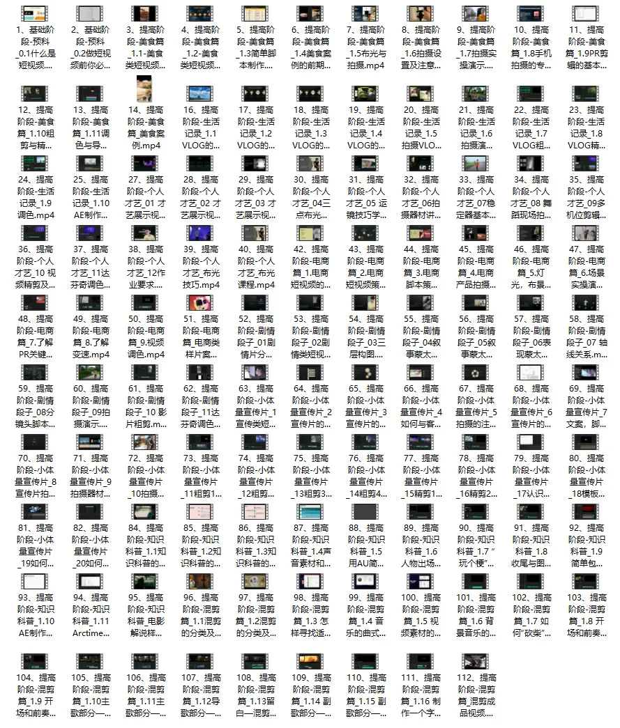 南夜潇潇短视频制作商业实战(策划+拍摄+PR+AE)