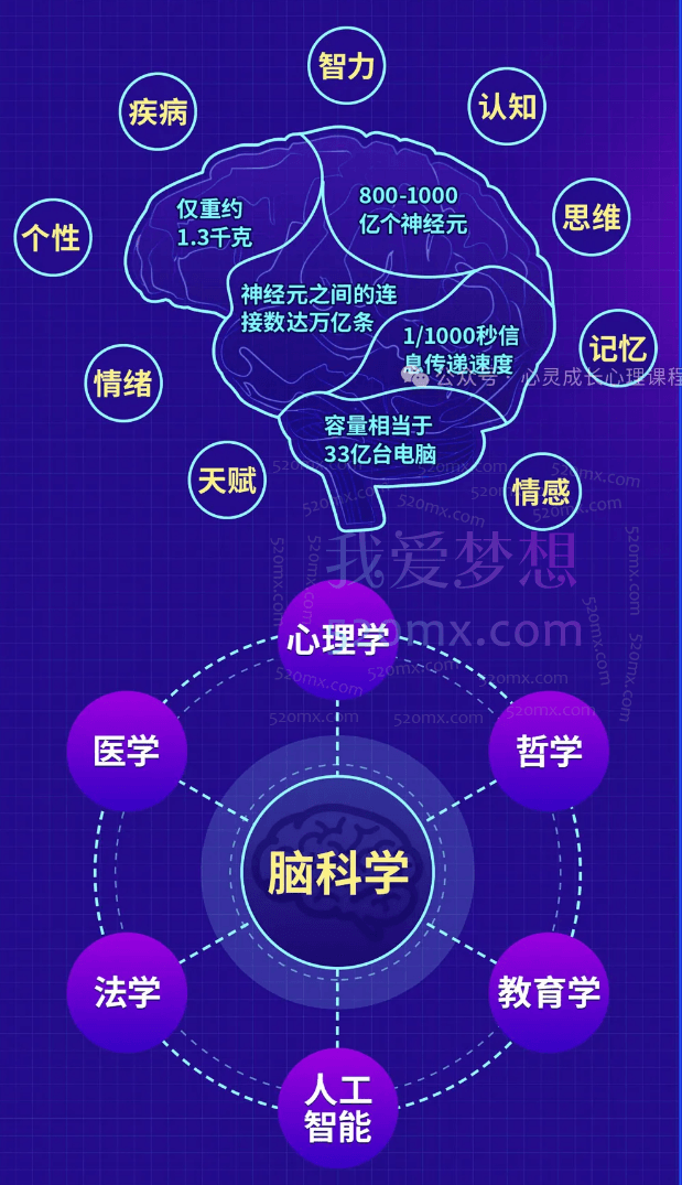 包爱民教授:脑科学新知20讲