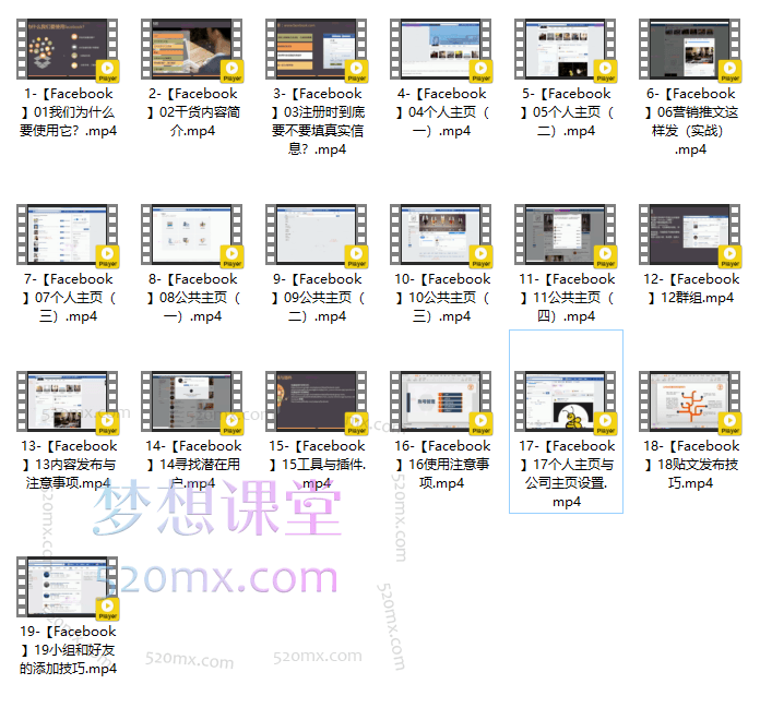 小蜜蜂外贸Facebook营销,社交营销实战课程