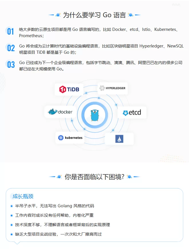 极客时间Go进阶训练营3期【完结】