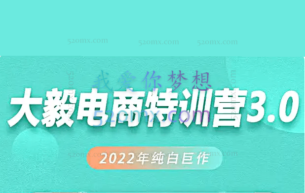 大毅电商·白搜3.0-2022年纯白巨作