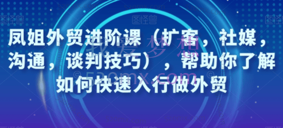 凤姐外贸进阶课(扩客,社媒,沟通,谈判技巧),帮助你了解如何快速入行做外贸