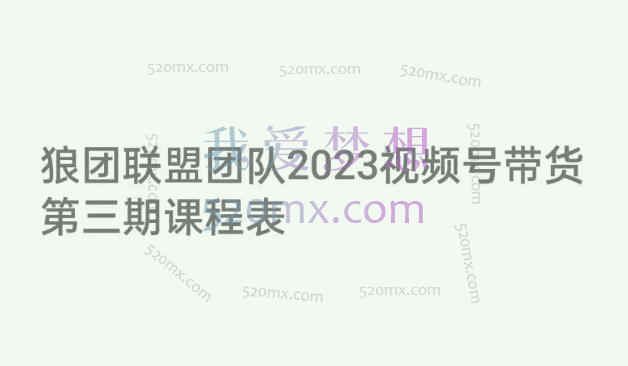 狼团联盟·2023视频号训练营（第三期），手把手带你玩转视频号