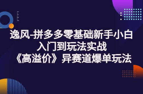 逸风拼多多零基础新手小白入门到玩法实战