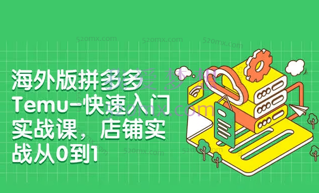 海外版拼多多Temu快速入门实操课，店铺实战从0到1