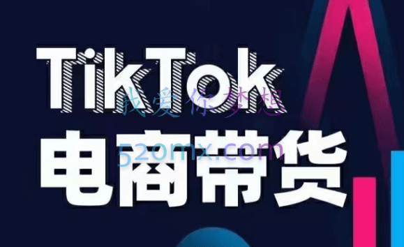TK增长会·Tiktok零基础变现训练营(第19期+第20期)，价值3980元