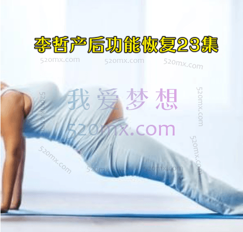 李哲产后功能恢复23集
