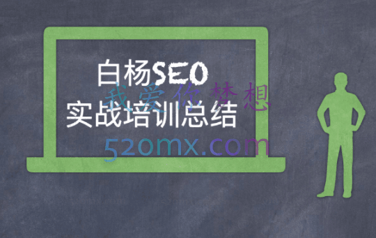 白杨全网SEO可参考案例库，几十个实操案例日引5000ip+涨粉百W+变现几十W等!