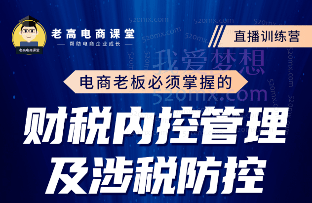 侯珍珍:电商老板必须掌握的财税内控管理及涉税防控,解读新政下的税收政策,梳理公司财务架构