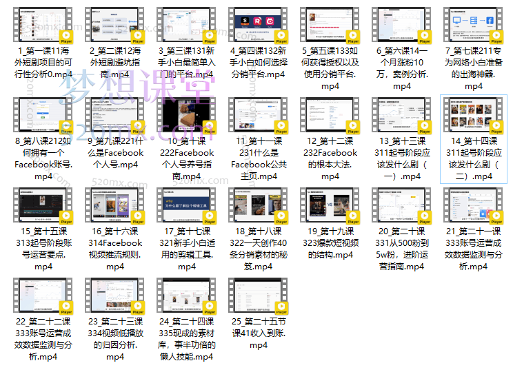 短剧出海FB精品系列课,出海短剧小白到大咖