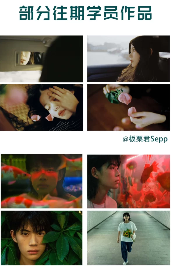 麻雀大人情感人像摄影综合训练大课堂