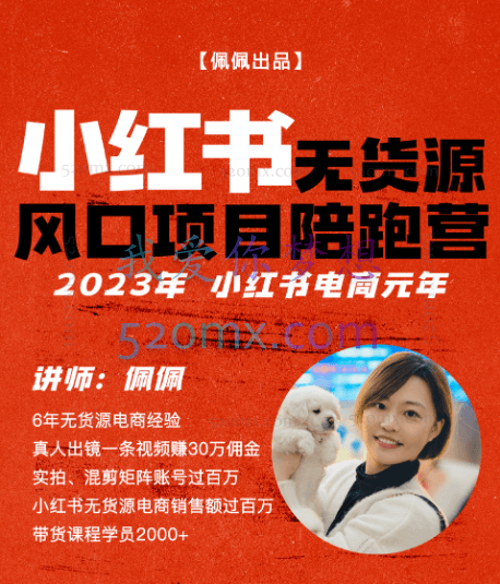佩佩小红书无货源风口项目陪跑营(更2023年8月)不用拍摄、不用露脸