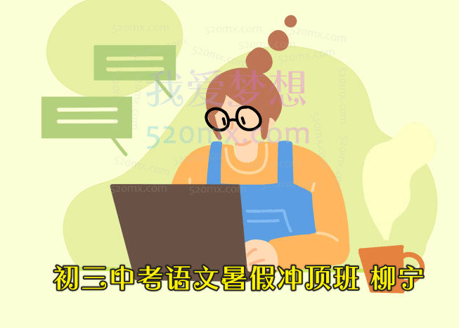 柳宁初三中考语文暑假冲顶班