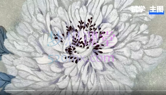 中国画禅茶系列作品-没骨牡丹(内含两幅)
