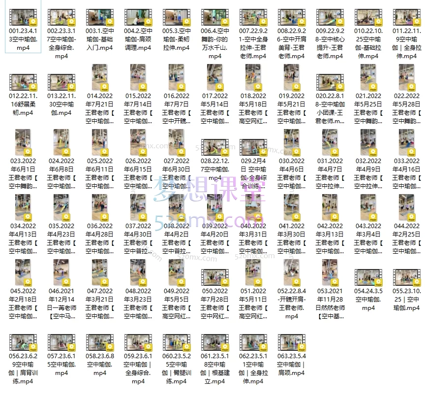 梵林瑜伽:空中瑜伽教程_空中瑜伽精讲课+完整团课