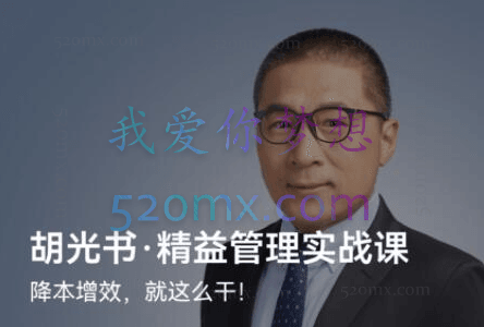 胡光书精益管理实战课(完结)