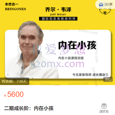 乔尔·韦泽:成长模块三“内在小孩”