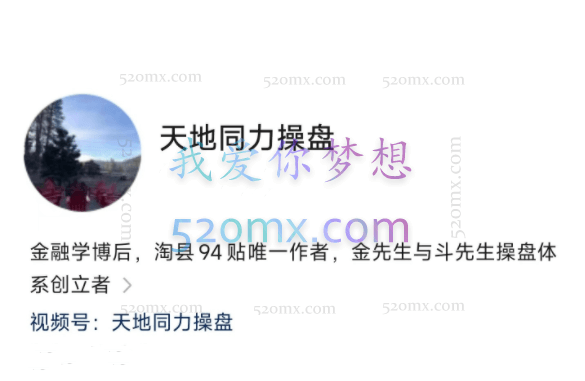 天地同力操盘视频课