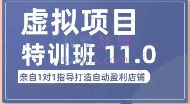 陆明明：虚拟项目特训班10.0-11.0（2022版）