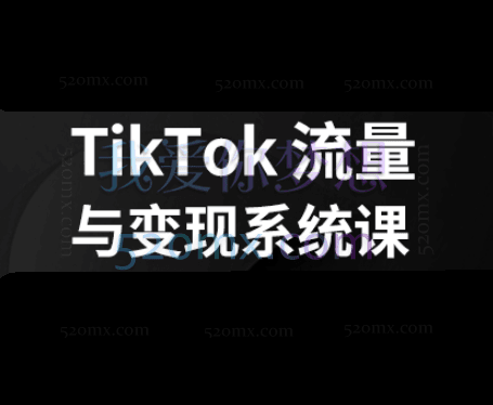 寰球丝路：TikTok变现系统课