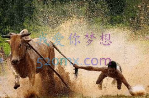 股哥端午班训练营