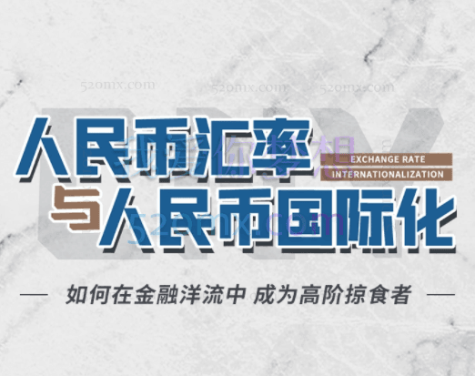 翟东升：人民币汇率与人民币国际化——全球货币体系知识如何转化为利润？