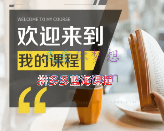 拼多多蓝海课程,从选品、上架、补单