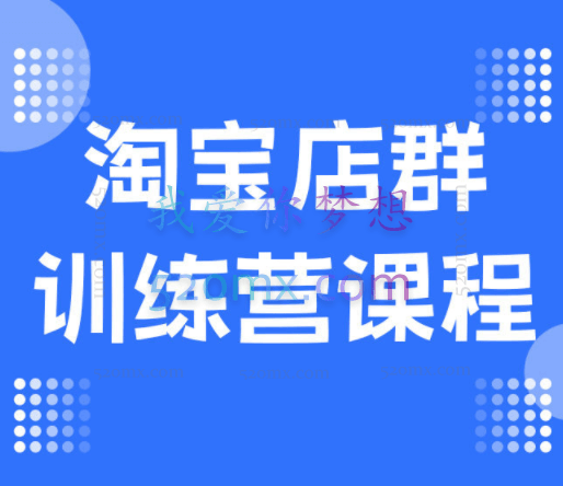 盗坤电商:淘宝基础课程+淘宝蓝海单品课程+淘宝店群课程合集