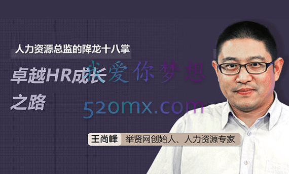 人力资源总监的降龙十八掌:卓越HR成长之路