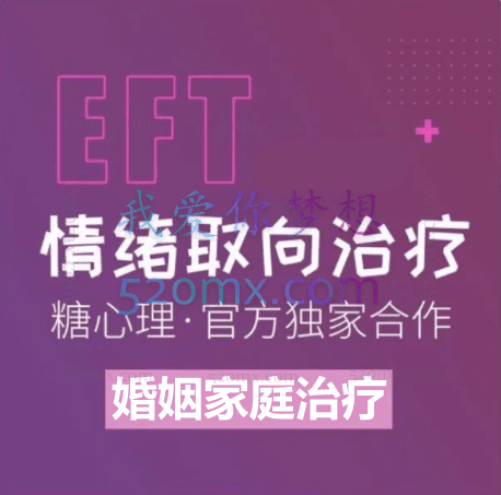 刘婷EFT(情绪取向)婚姻家庭治疗 初阶课程录音