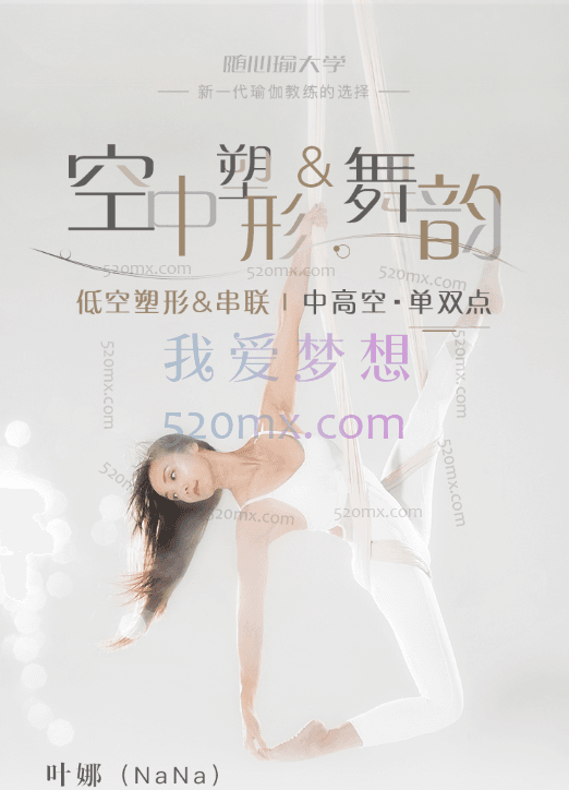 叶娜空中塑形&舞韵·低中高空(带笔记)