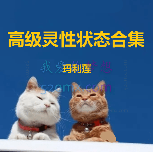 玛丽莲心理课程合集