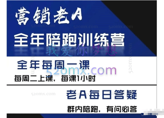 营销老A全年陪跑训练营，价值2580元