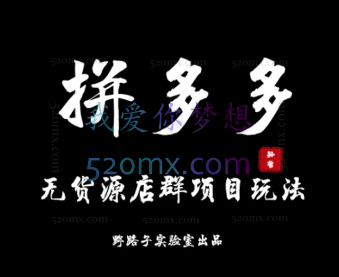 野路子实验室出品:拼多多无货源店群项目