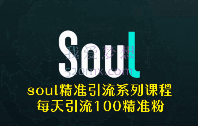 soul精准引流系列课程，每天引流100精准粉
