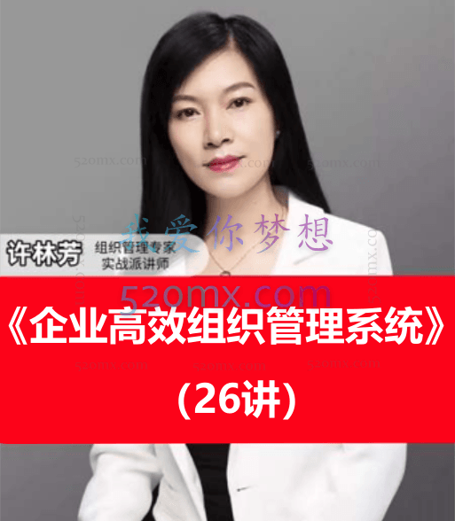 许林芳《企业高效组织管理系统》26讲(抖音199)2021年