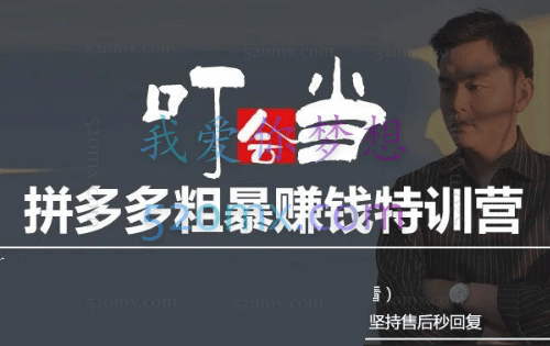 叮当会电商培训:拼多多粗暴赚钱特训营(11-19期)