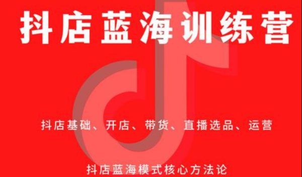 盗坤·抖店蓝海训练营:简单又可以快速复制,只要按照他的标准化去执行就可以赚钱!