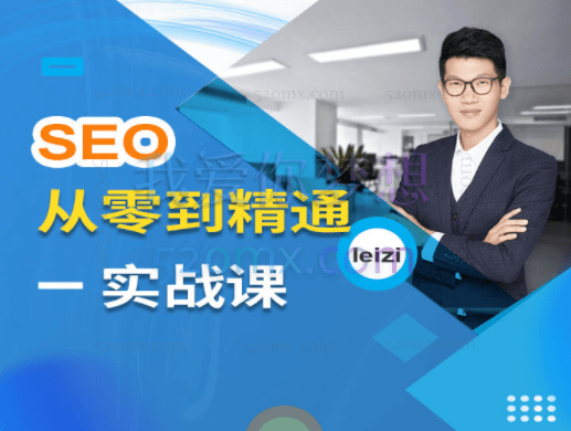 leizi营销学院:SEO从零到精通-SEO实战课