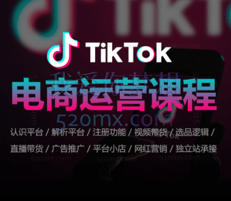 喜课:TikTok电商运营课程