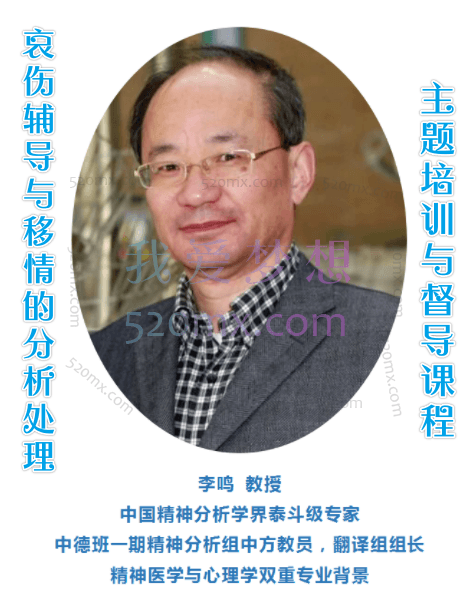 李鸣:哀伤辅导与移情的分析处理主题培训与督导课程