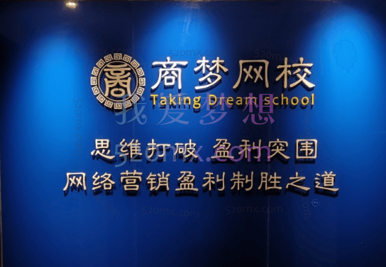 商梦网校:项目训练营=项目+流量+平台+软件