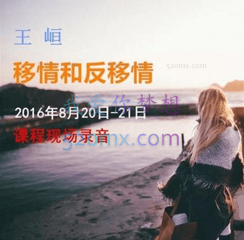 王峘:沙盘和精分视野下的移情和反移情 现场课程录音+课件PPT