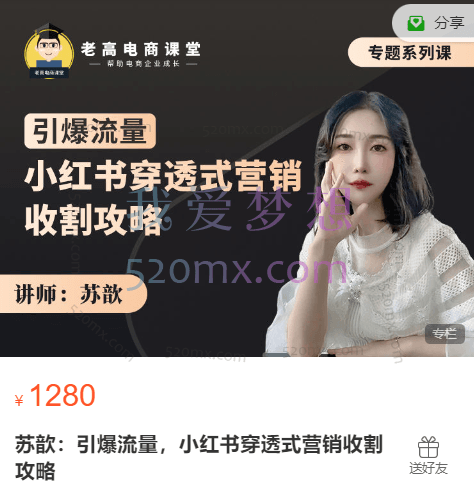 苏歆:引爆流量小红书穿透式营销收割攻略