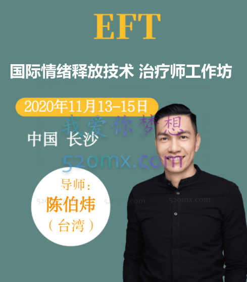 陈伯炜：2016 国际情绪释放技术（EFT）治疗师工作坊 现场录音