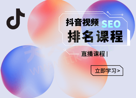 森淼·抖音视频SEO排名课程(官网售价1680元)